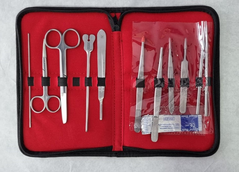 Juego de Disección Modelo B